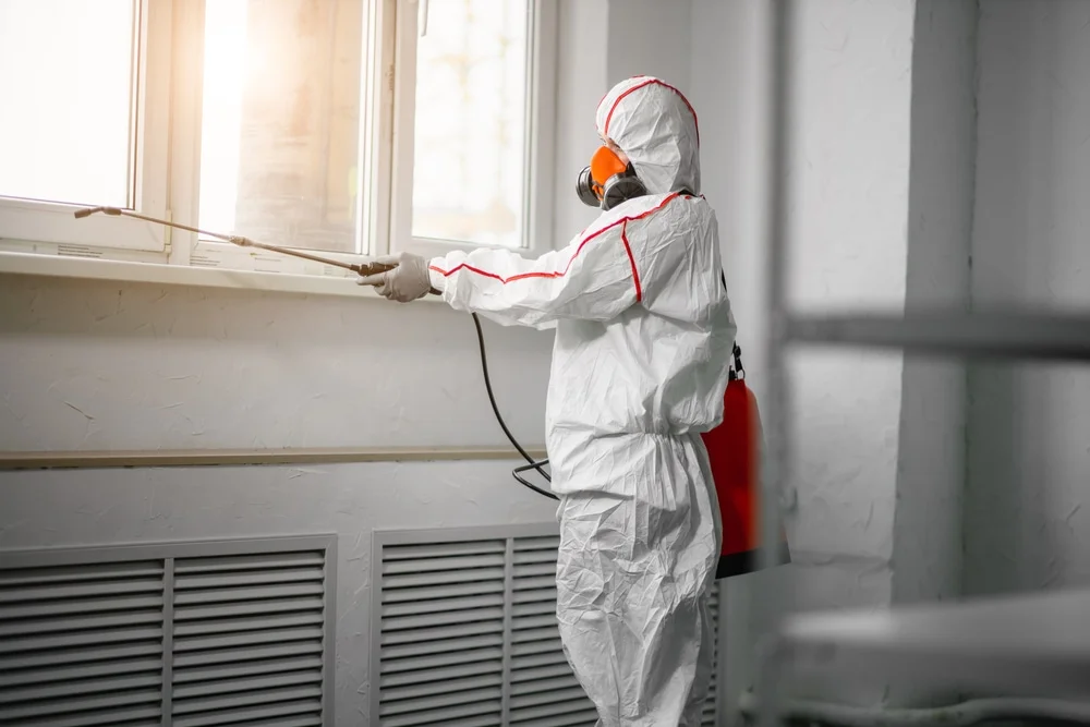 Professional mold remediation services in Georgetown, IN